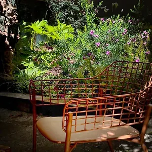 Loquat House Nel Giardino Segreto In Zona Vaticano Apartamento
